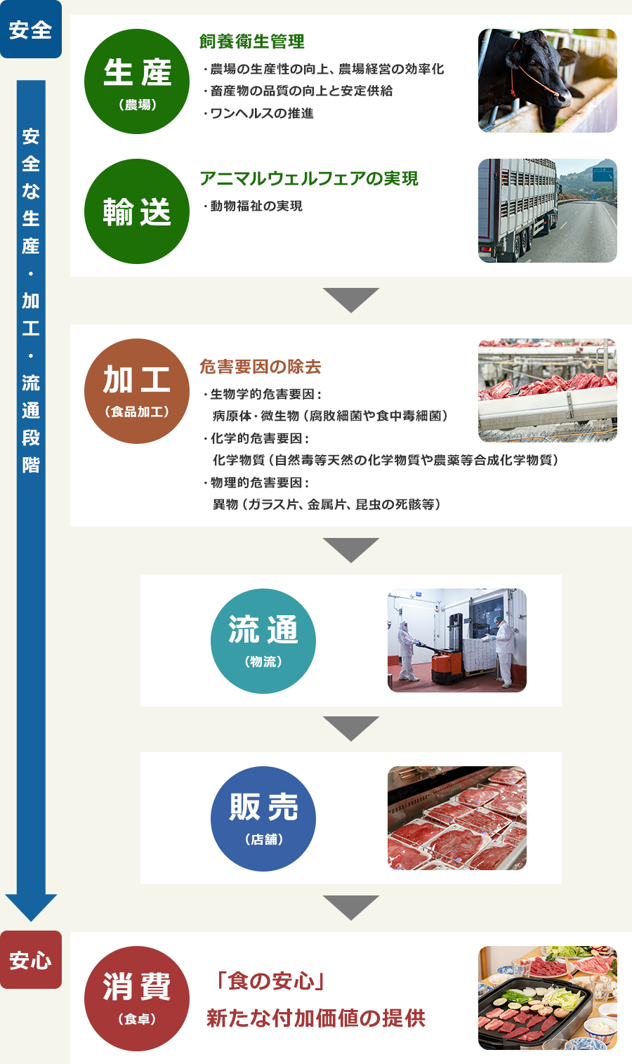 安全→安全な生産・加工・流通段階→安心